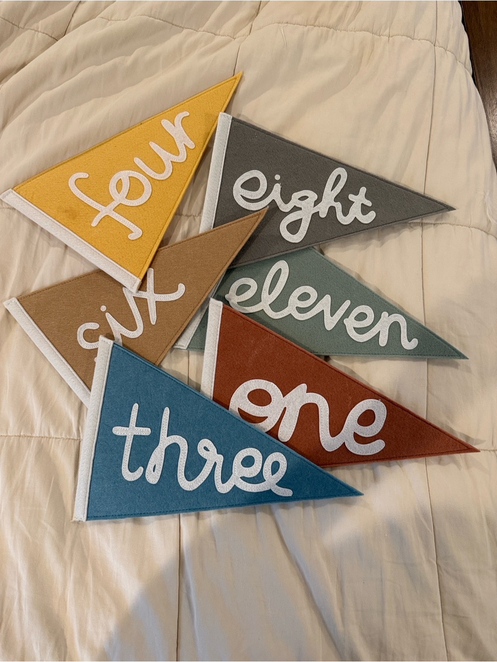 Double sided Monthly Milestone Pennant Banners - Set of Colorful Felt Flags